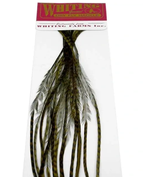 Whiting 100's Saddle Grizzly #14 Grizzly dyed Dark Olive krok #14 