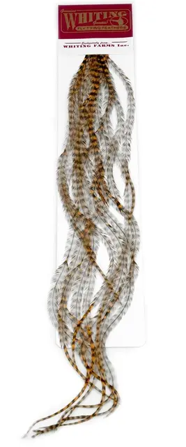 Whiting 100's Saddle Grizzly #12 Grizzly dyed Golden Brown krok #12 