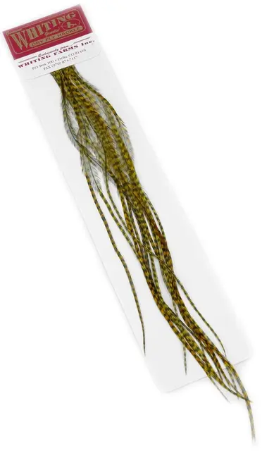 Whiting 100's Saddle Grizzly #18 Grizzly dyed Golden Olive krok #18 