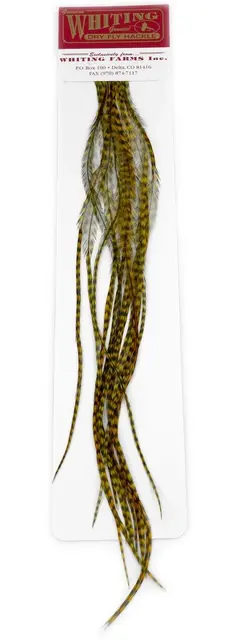 Whiting 100's Saddle Grizzly #18 Grizzly dyed Golden Olive krok #18 