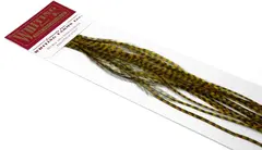 Whiting 100&#39;s Saddle Grizzly #18 Grizzly dyed Golden Olive krok #18