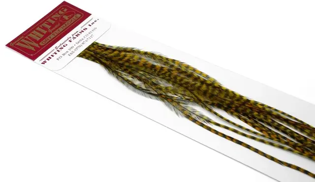 Whiting 100's Saddle Grizzly #18 Grizzly dyed Golden Olive krok #18 