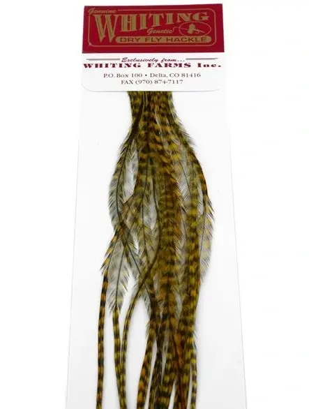 Whiting 100's Saddle Grizzly #18 Grizzly dyed Golden Olive krok #18 