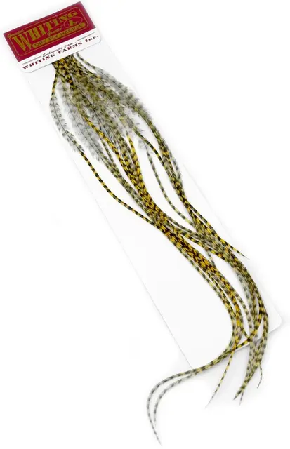 Whiting 100's Saddle Grizzly #12 Grizzly dyed Golden Straw krok #12 