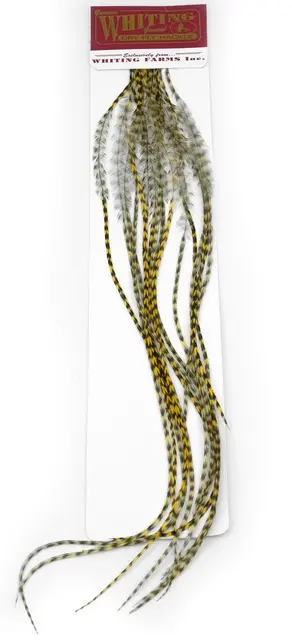 Whiting 100's Saddle Grizzly #12 Grizzly dyed Golden Straw krok #12 