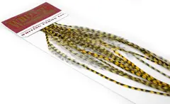 Whiting 100&#39;s Saddle Grizzly #12 Grizzly dyed Golden Straw krok #12