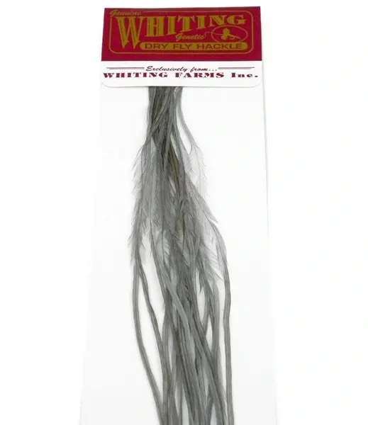 Whiting 100's Saddle Grizzly #12 Grizzly dyed Medium Dun krok #12 
