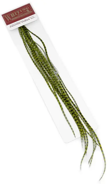 Whiting 100's Saddle Grizzly #16 Grizzly dyed Olive krok #16 