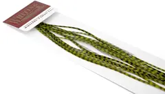 Whiting 100&#39;s Saddle Grizzly #16 Grizzly dyed Olive krok #16