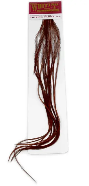 Whiting 100's Saddle White #14 White dyed Coachman Brown krok #14 