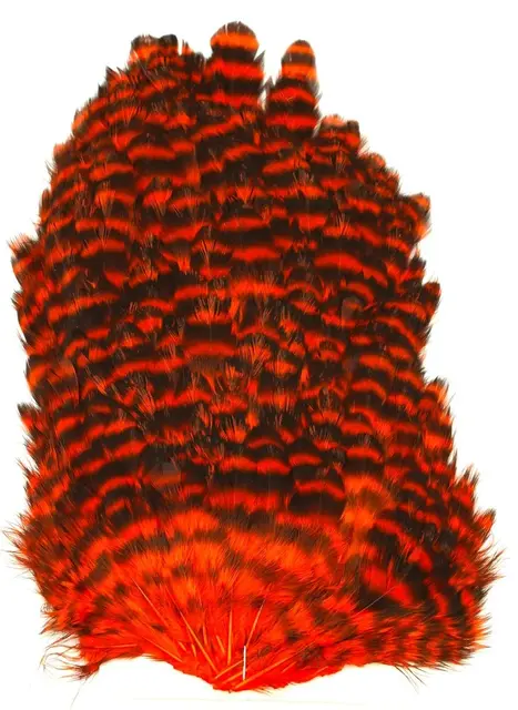 Whiting 4B Hen Saddle Grizzly Orange Grizzly dyed Orange hønesaddel 