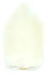 Whiting 4B Rooster Saddle White Flotte hanesaddler med myke og avrundede