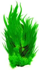 Whiting 4B Rooster Saddle White dyed Hig White dyed Highlander Green hanesaddel