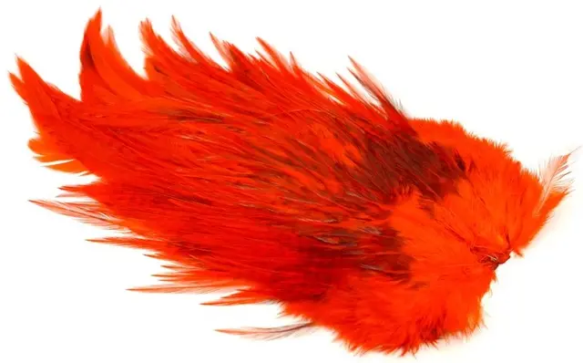 Whiting 4B Rooster Saddle White dyed Ora White dyed Orange hanesaddel 