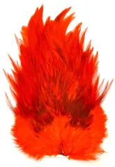 Whiting 4B Rooster Saddle White dyed Ora White dyed Orange hanesaddel