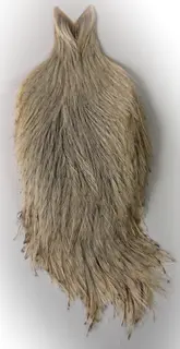 Whiting Coq De Leon Rooster Cape Unique Variant