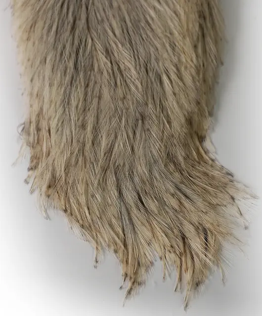 Whiting Coq De Leon Rooster Cape Unique Variant 