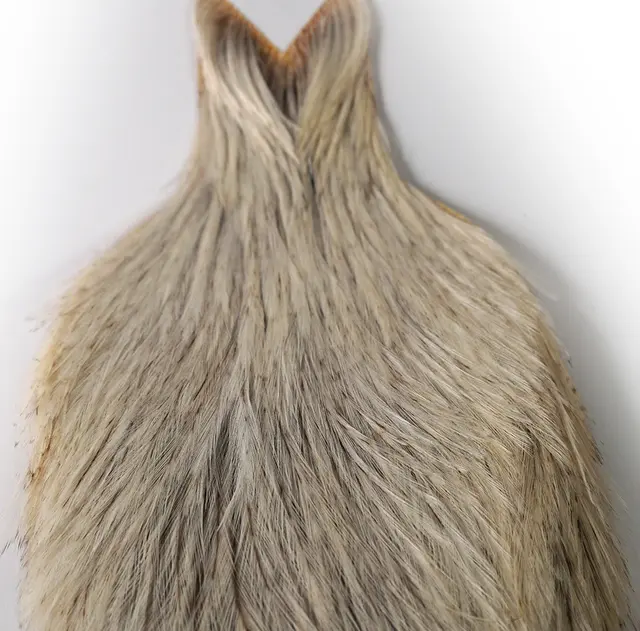 Whiting Coq De Leon Rooster Cape Unique Variant 