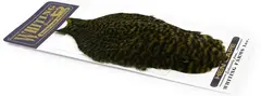 Whiting American Hen Cape Grizzly DOlive Grizzly Dark Olive med myke fine fj&#230;r