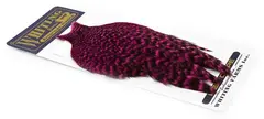 Whiting American Hen Cape Grizzly Pink Grizzly Pink med myke fine fj&#230;r