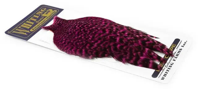 Whiting American Hen Cape Grizzly Pink Grizzly Pink med myke fine fjær 