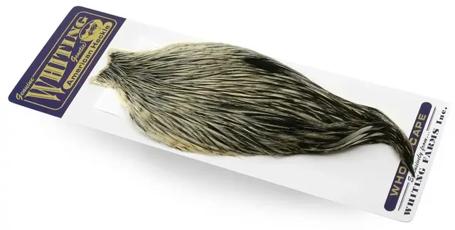 Whiting American Rooster Cape BLW 