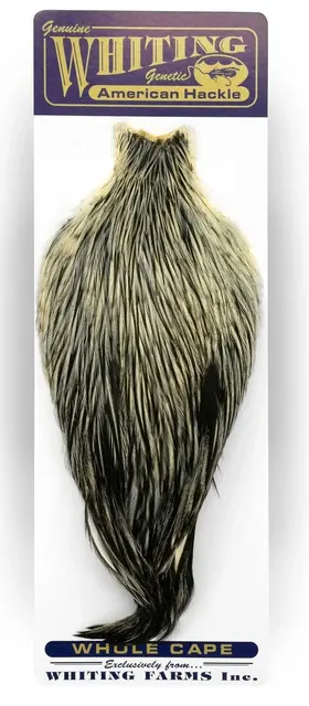 Whiting American Rooster Cape BLW 