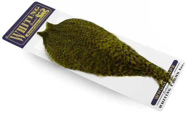 Whiting American Rooster Cape Grizzly dyed Dark Olive 