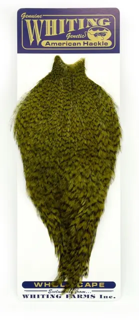 Whiting American Rooster Cape Grizzly dyed Dark Olive 