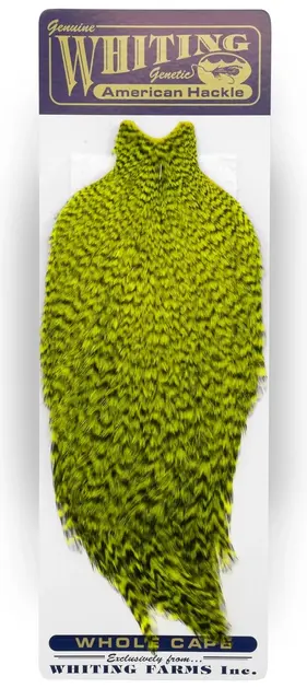 Whiting American Rooster Cape Grizzly dyed Fl. Yellow Chartreuse 
