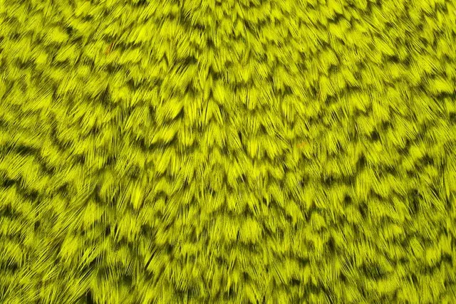 Whiting American Rooster Cape Grizzly dyed Fl. Yellow Chartreuse 