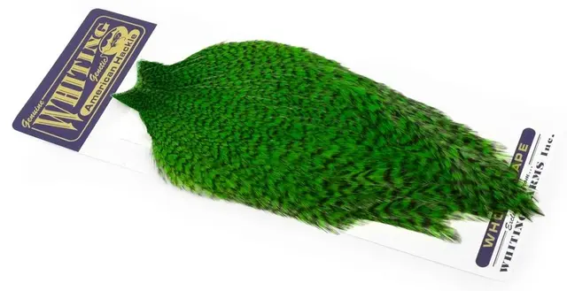 Whiting American Rooster Cape Grizzly dyed Highlander Green 