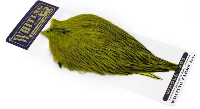 Whiting American Rooster Cape White dyed Olive 