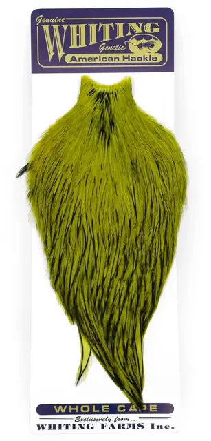 Whiting American Rooster Cape White dyed Olive 