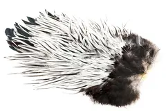 Whiting American Rooster Saddle Silver Badger