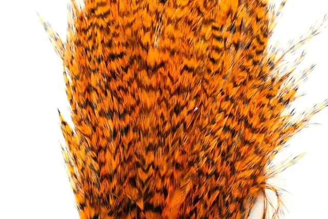 Whiting American Streamer Pack Grizzly dyed Shrimp Orange 
