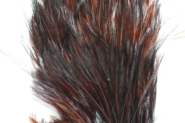 Whiting American Streamer Pack White dyed Coachman Brown 