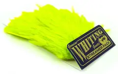 Whiting American Streamer Pack White dyed Fl. Yellow Chartreuse