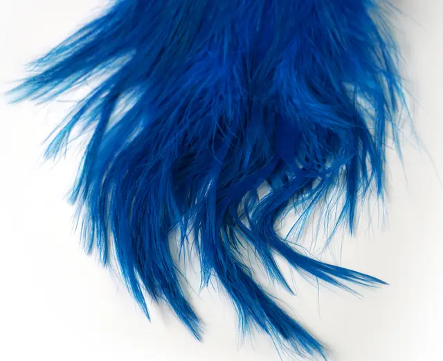 Whiting Bird Fur Kingfisher Blue Fluene blir enda mer levende 