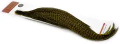 Whiting Bronze 1/2 Cape Grizzly dyed Dark Olive