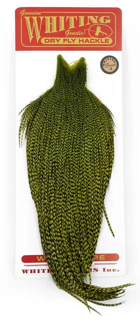 Whiting Bronze Cape Grizzly dyed Olive Kvalitetsfjær til binding av tørrfluer 