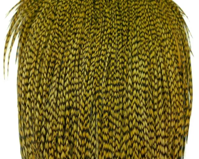 Whiting Bronze Cape Grizzly dyed Olive Kvalitetsfjær til binding av tørrfluer 