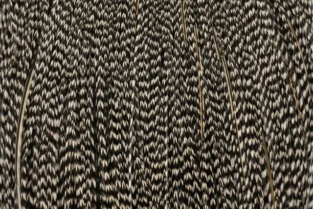 Whiting Bronze Cape Grizzly Variant Kvalitetsfjær til binding av tørrfluer 