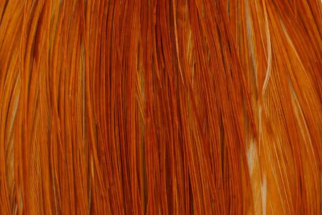 Whiting Bronze Cape Medium Ginger Kvalitetsfjær til binding av tørrfluer 