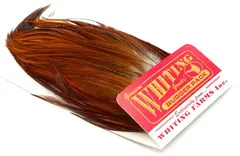 Whiting Bugger Pack Brown Lange fj&#230;r med naturlig tapering