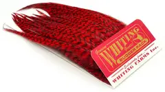 Whiting Bugger Pack Grizzly dyed Red Lange fj&#230;r med naturlig tapering