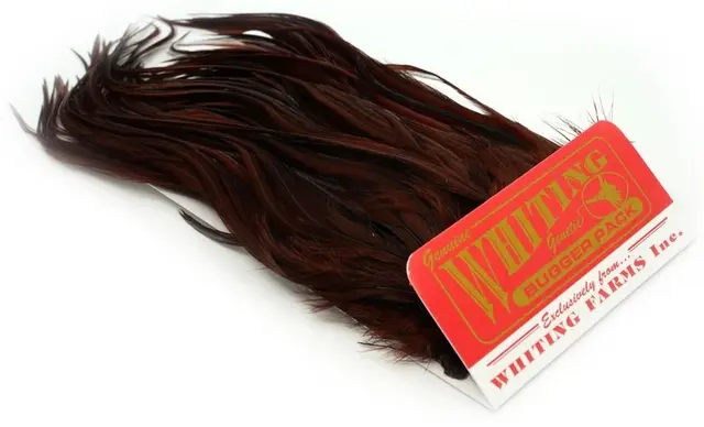 Whiting Bugger Pack White dyed Coachmann Lange fjær med naturlig tapering 