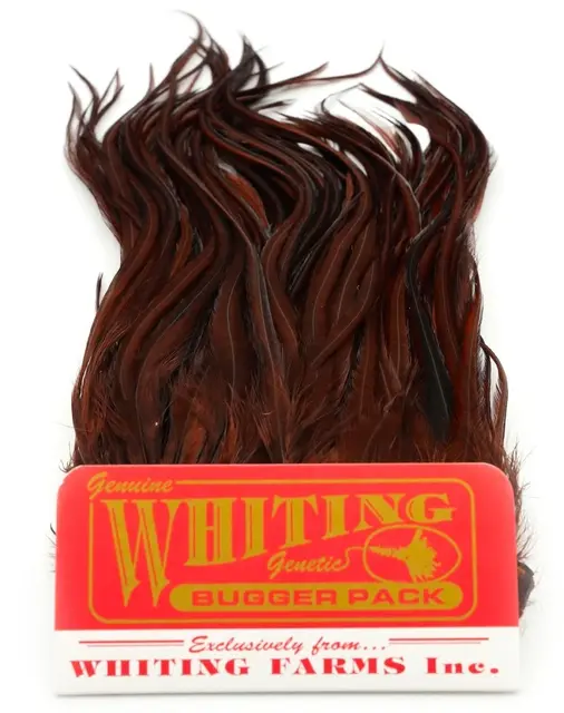 Whiting Bugger Pack White dyed Coachmann Lange fjær med naturlig tapering 