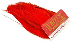 Whiting Bugger Pack White dyed Orange Lange fj&#230;r med naturlig tapering