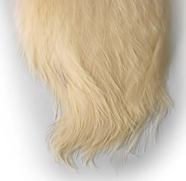 Whiting Coq De Leon Rooster Cape Pure White 